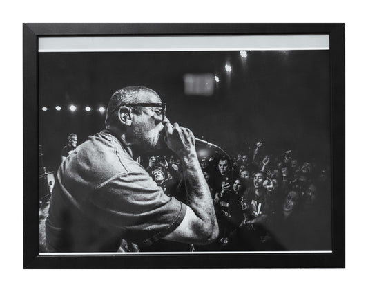 Milo - Photo by Billy "Kingrock" Skelly